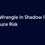 Webinar Panel: How to Wrangle In Shadow IT & Reduce Risk 8